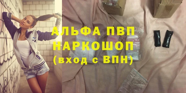 СК Вязьма