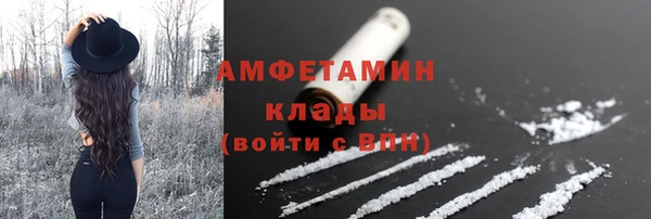 СК Вязьма