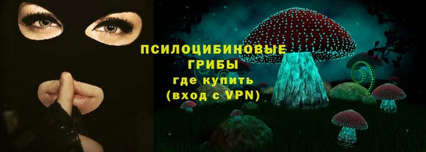 СК Вязьма