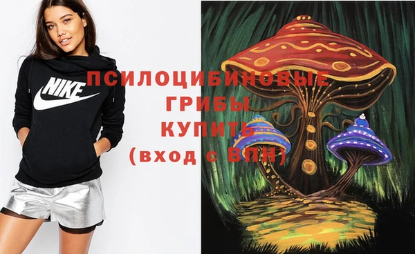 мдма Вяземский