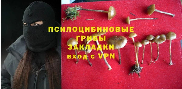 ПСИЛОЦИБИНОВЫЕ ГРИБЫ Горняк