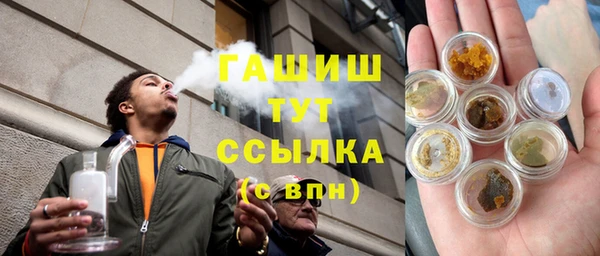прущие грибы Горно-Алтайск