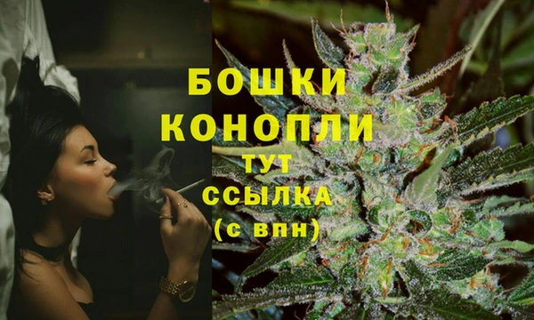 СК Вязьма
