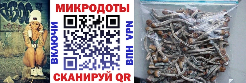 Купить где  Асино  Галлюциногенные грибы мухоморы 